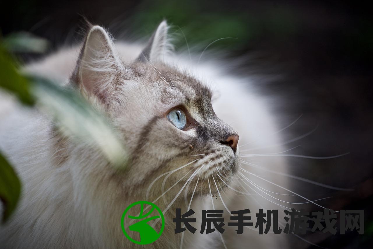 (魔王乱入官方账号是什么)魔王乱入官方账号，深度分析与探索