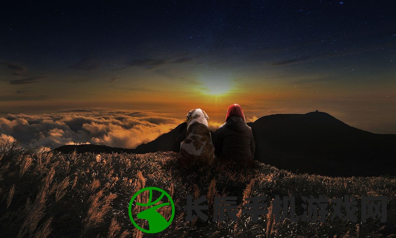 (遇见龙强度榜)遇见龙，强度排行与深度解析