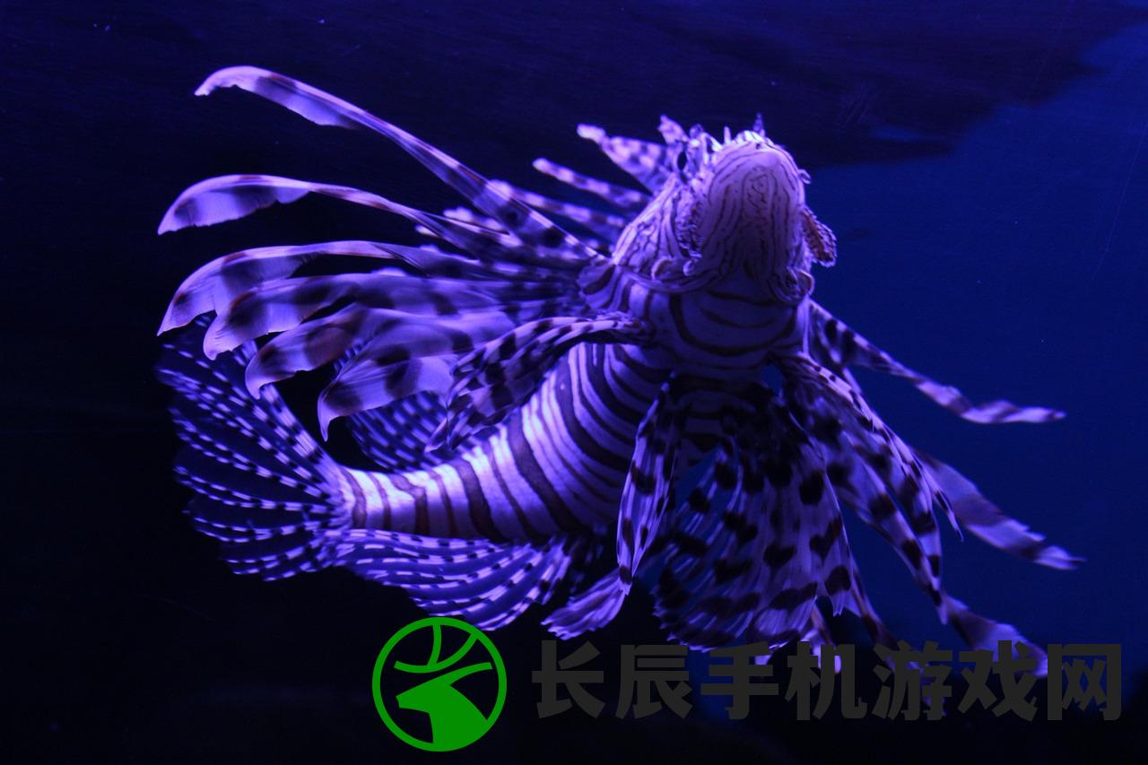 (七雄无双部队上限怎么提升)七雄无双部队上限，深度解析与常见问题解答