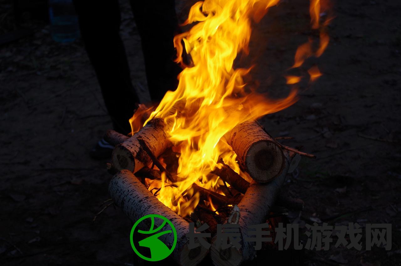 (光明重影爱丽丝的宝藏密码是什么)光明重影爱丽丝的宝藏密码，探寻神秘世界的奇幻之旅