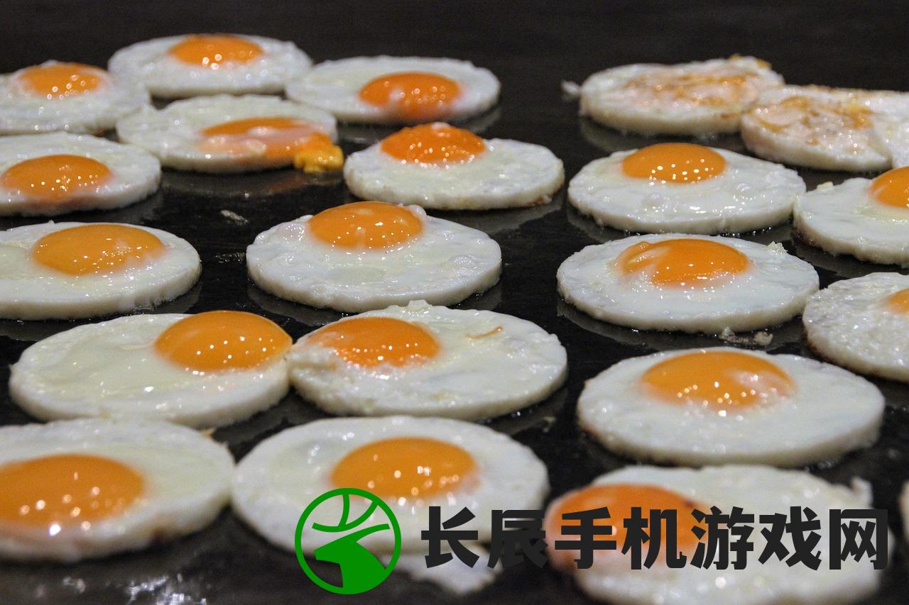 (纳萨力克大公墓)纳萨力克，深入探究与常见问答解析