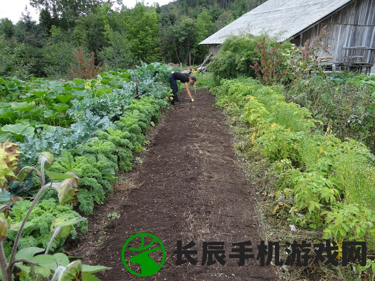 (卷帘西风最经典的三个作品分别是)卷帘西风最经典的三个作品