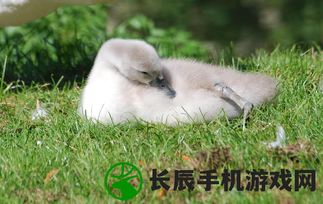 (剑侠情缘手游cdkey领取不了)剑侠情缘手游CDKEY领取攻略及常见问题解答