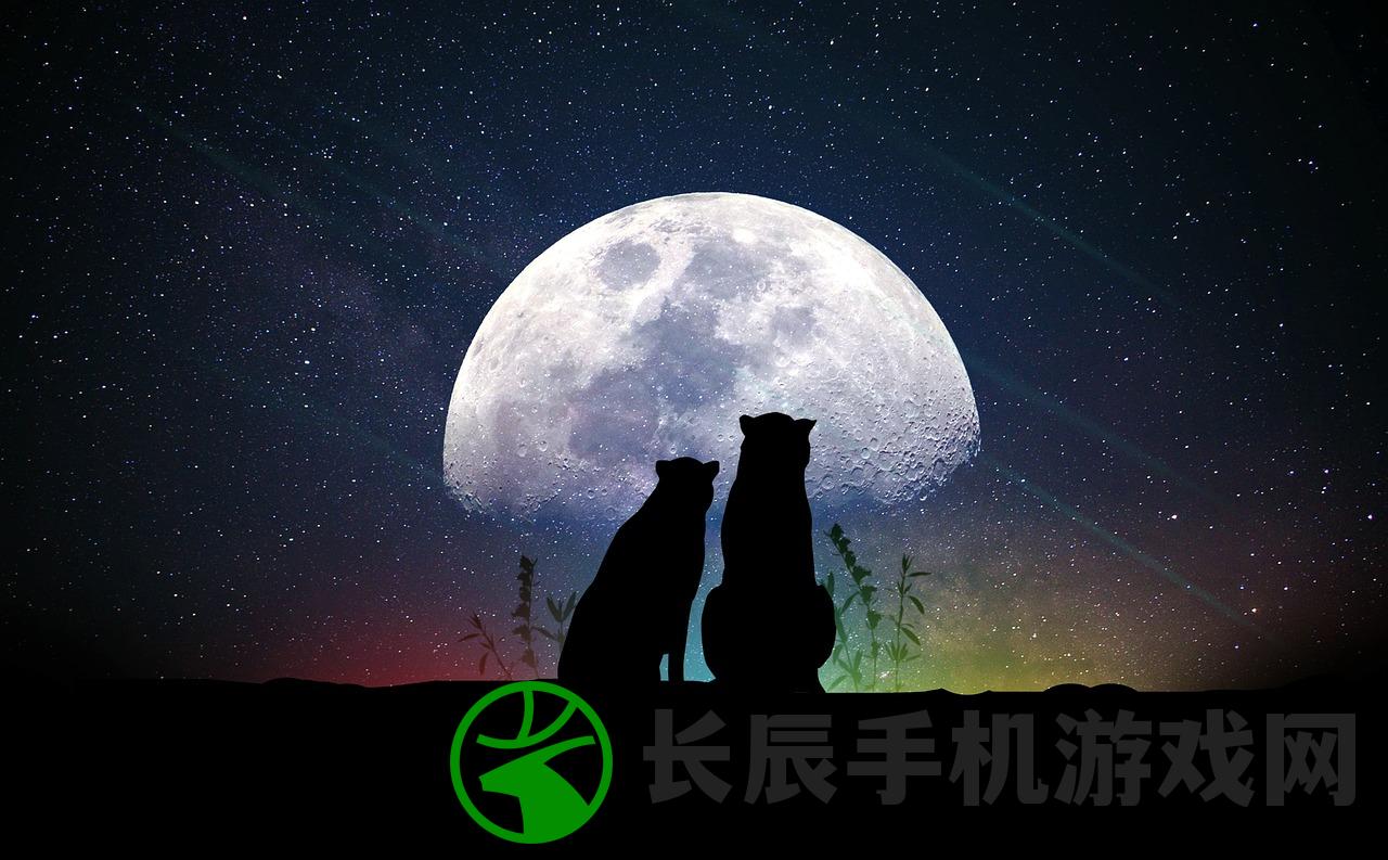 (航空大亨5完整破解版无限金币)航空大亨5，游戏深度分析与常见问题解答