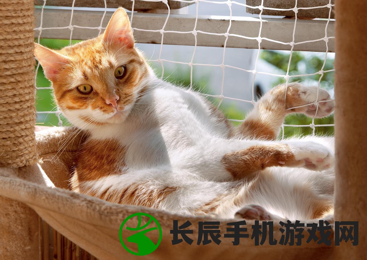 (航海奇闻鸡任务)航海奇闻鸡攻略大全，探索未知海域的秘诀