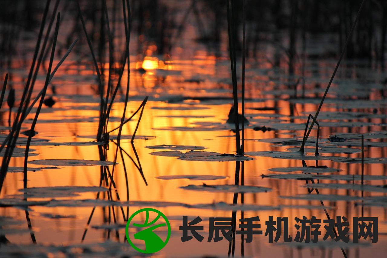 (twirty怎么读)揭秘Twirdora的正确发音