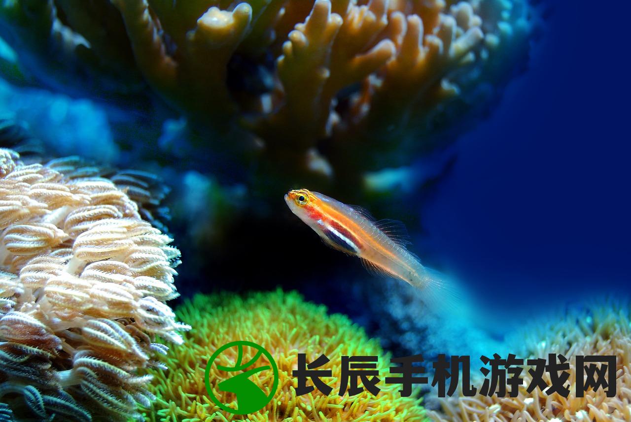 (跟我玩连萌角色强度)关于跟我玩连萌原名叫什么的探究