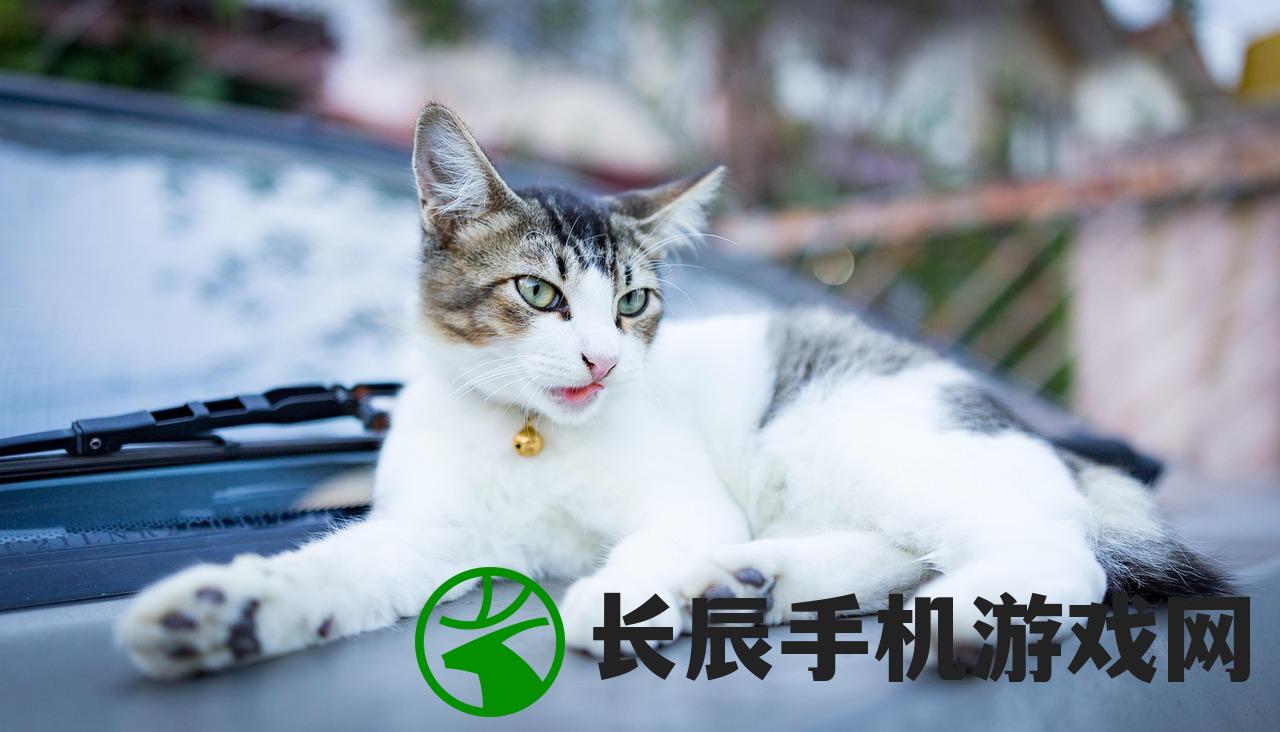 (代号阿纳斯塔西娅漫画免费阅读)代号阿纳斯塔西娅，神秘背后的故事与探索