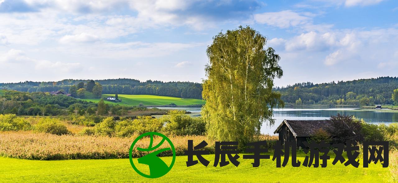 (盛世Online单机)盛世Online单机，游戏探索与常见问题解答