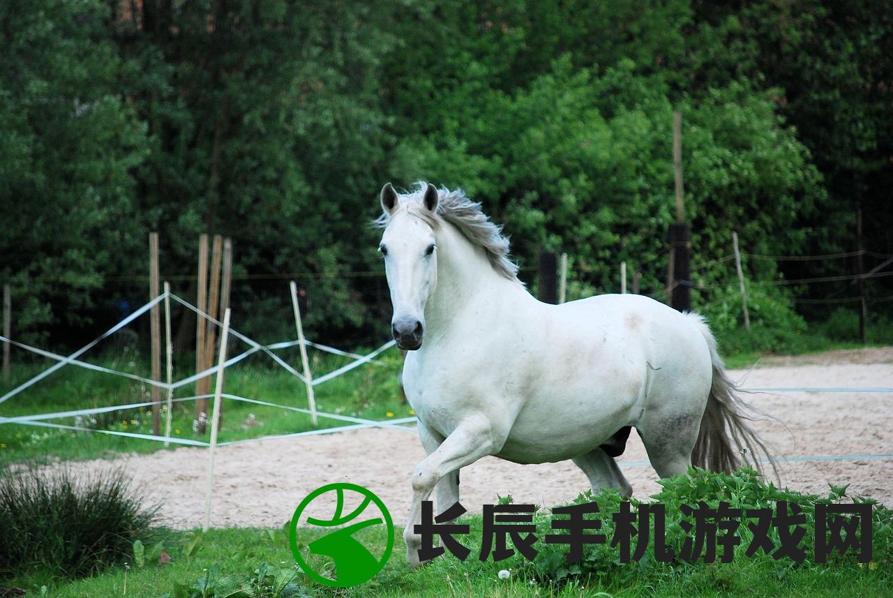 (封仙之怒全部版本)封仙之怒下架原因深度解析