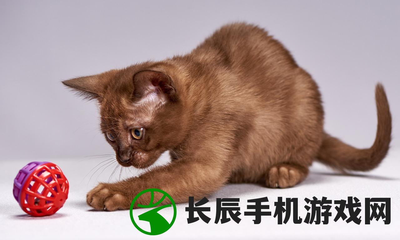 (混沌起源官方网站客服)混沌起源官方网站，探索游戏世界的起点
