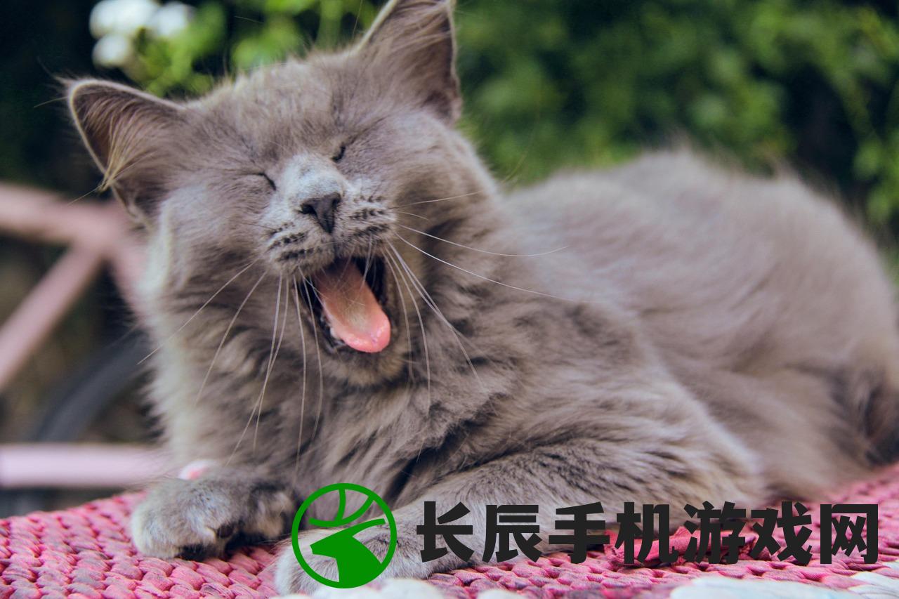 (狼人对决黑市商人怎么玩)狼人对决黑市商人，一场暗潮涌动的对决