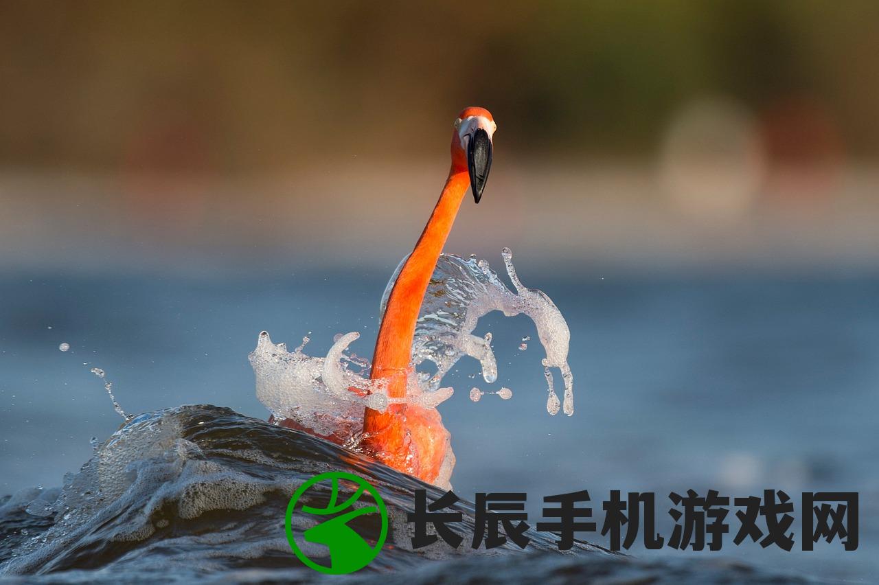 喵话西游手游，探索经典，重燃西游热情