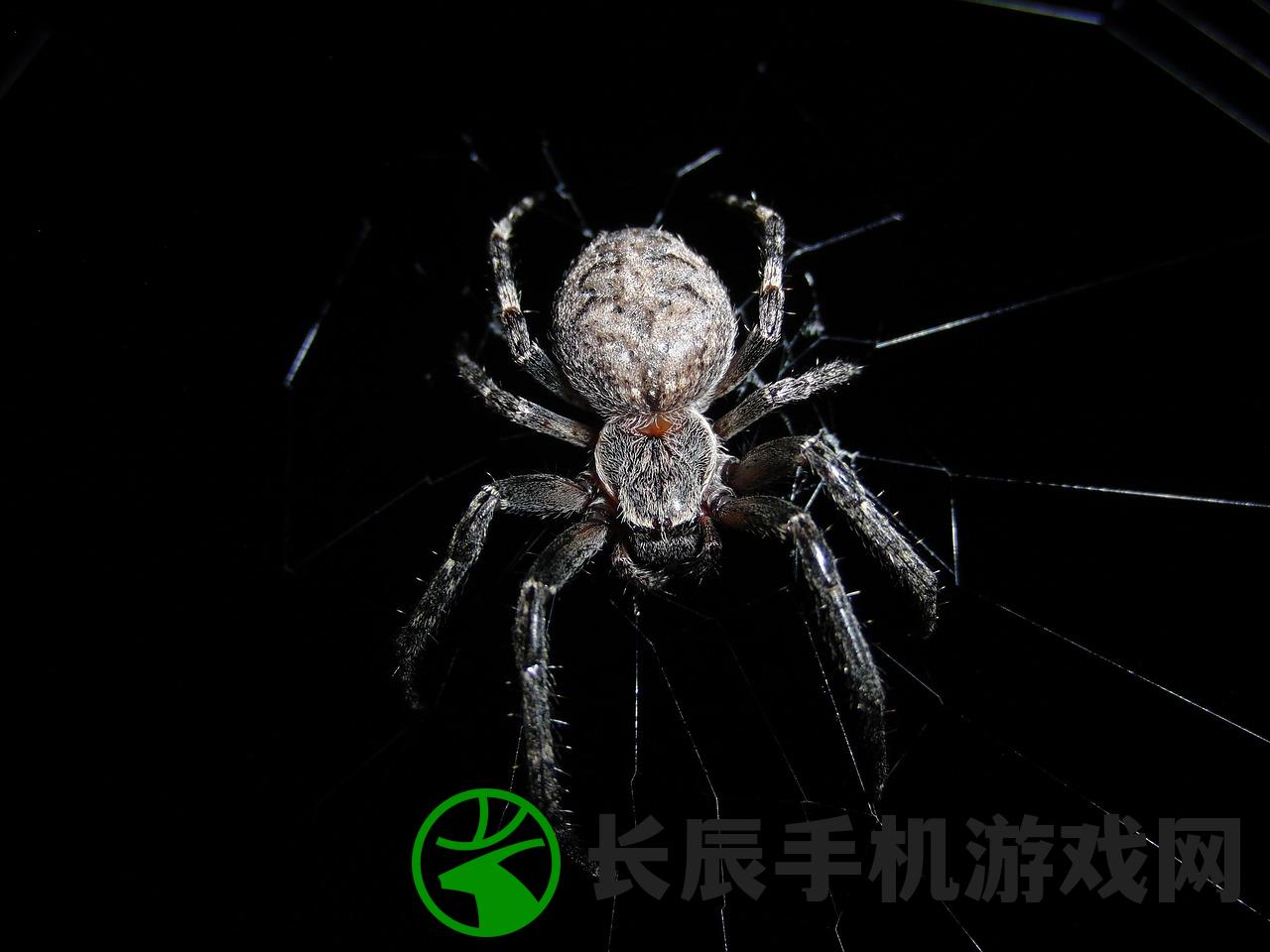 (这就是江湖门派武学汇总高清)这就是江湖门派武学汇总及其深度解析
