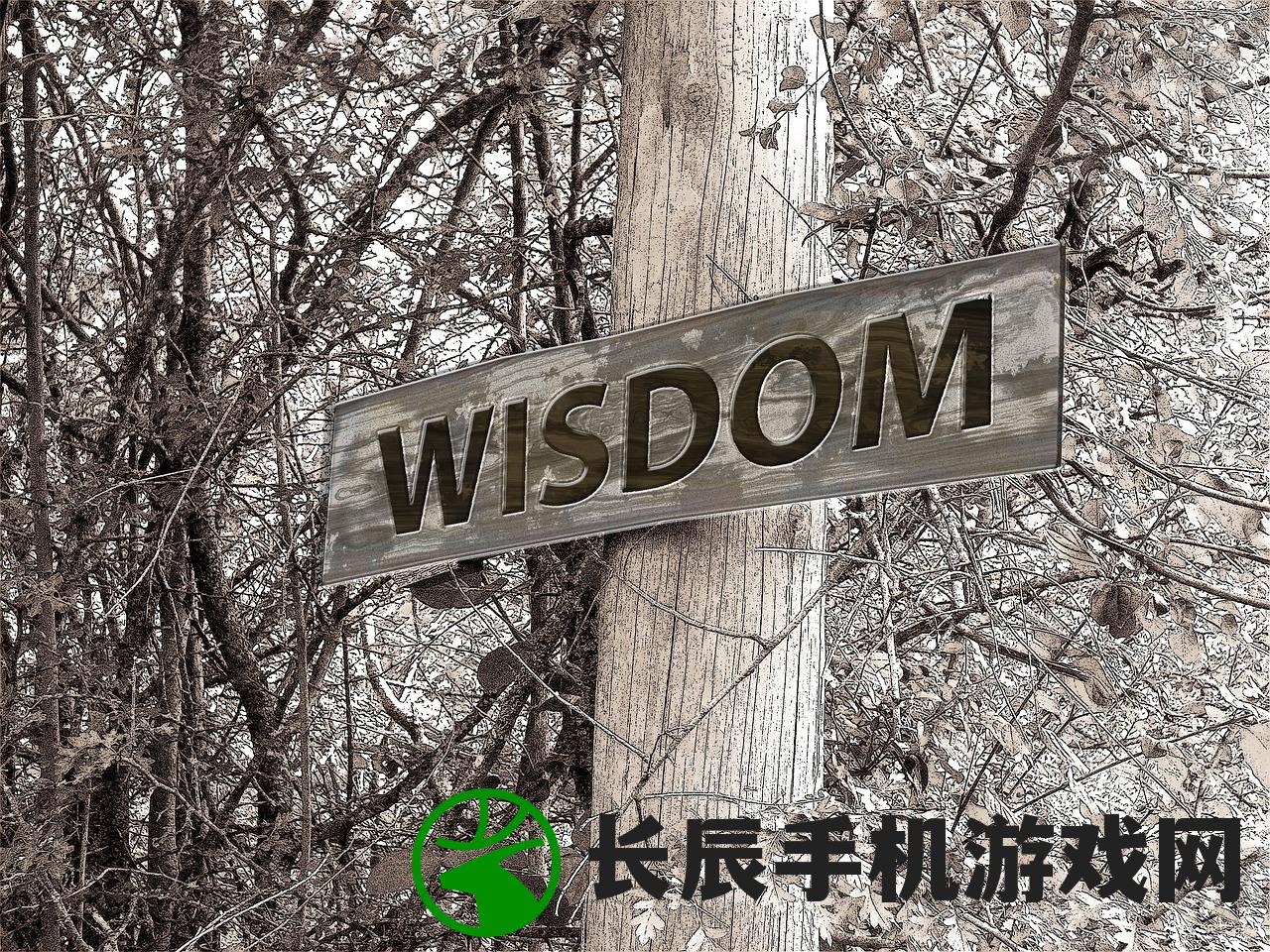(霸刀传奇霸主辅助怎么用)霸刀传奇霸主辅助，游戏利器还是潜在风险？