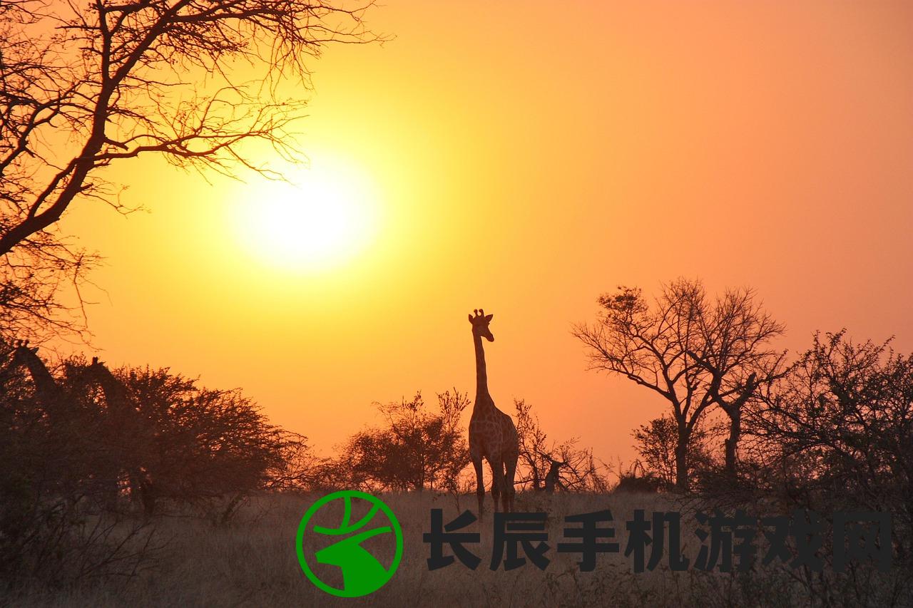 (综武:我有一座大客栈小说)综武，我有一座大客栈