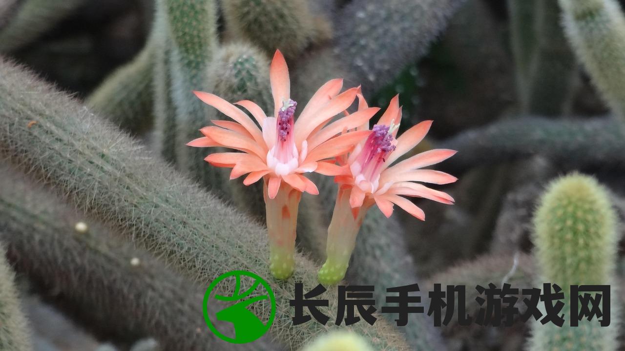 (爱宠大机密角色介绍英语)爱宠大机密角色深度解析与介绍