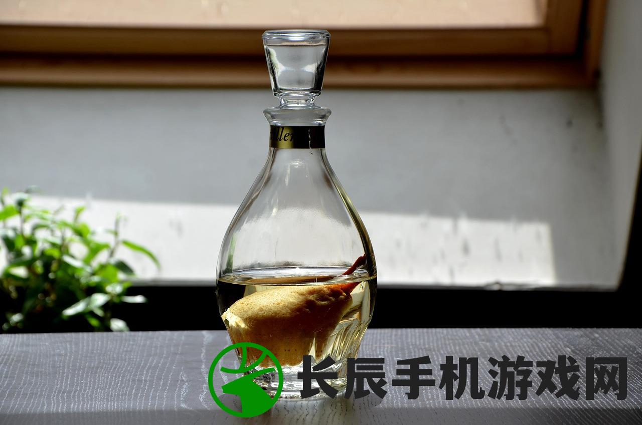 (四象物语下载)四象物语内置GM菜单，游戏新纪元的功能与探索