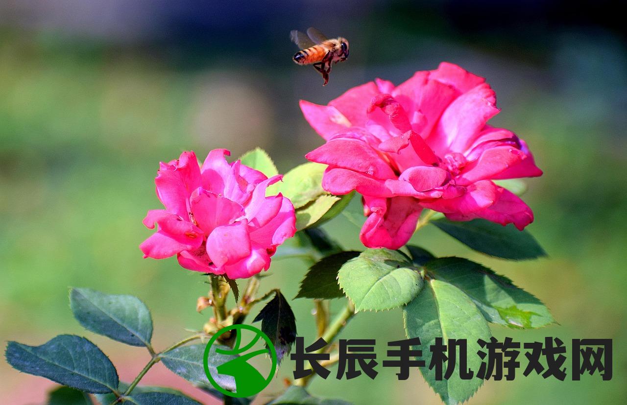 (前进吧idol朱一龙)前进吧！偶像的力量——探索偶像文化的新纪元