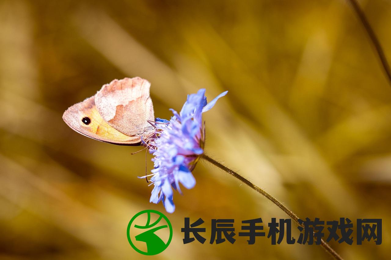 (女巫阿加莎百度网盘)女巫阿加莎，神秘魅力的深度解析