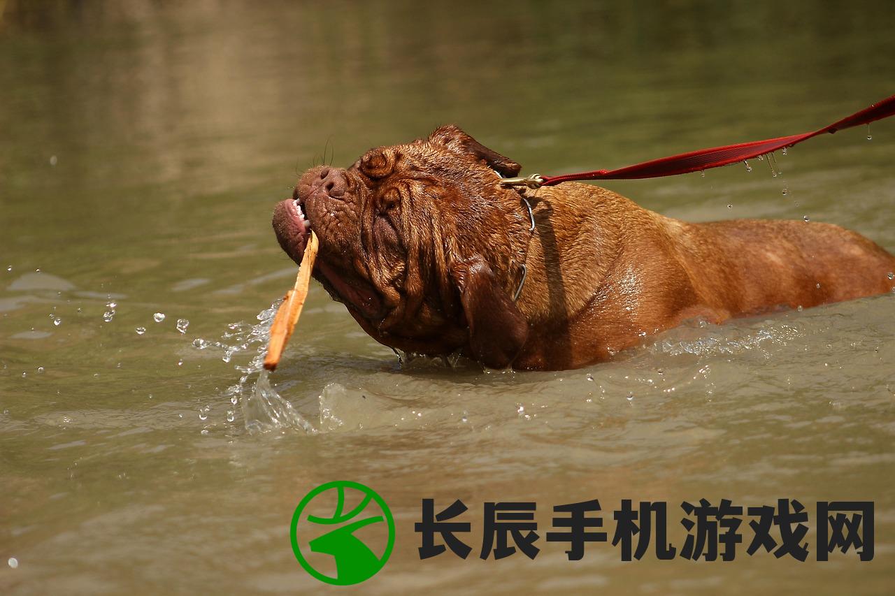 (帮萧岩冲破千年修为游戏攻略全文免费阅读)帮萧岩冲破千年修为游戏——探寻巅峰之路