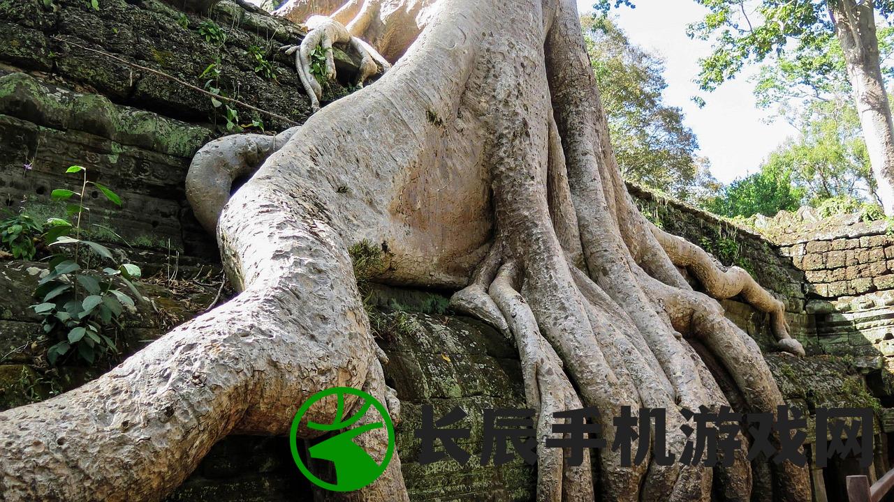 (森林王国童话300字童话大象与小草)森林王国的童话