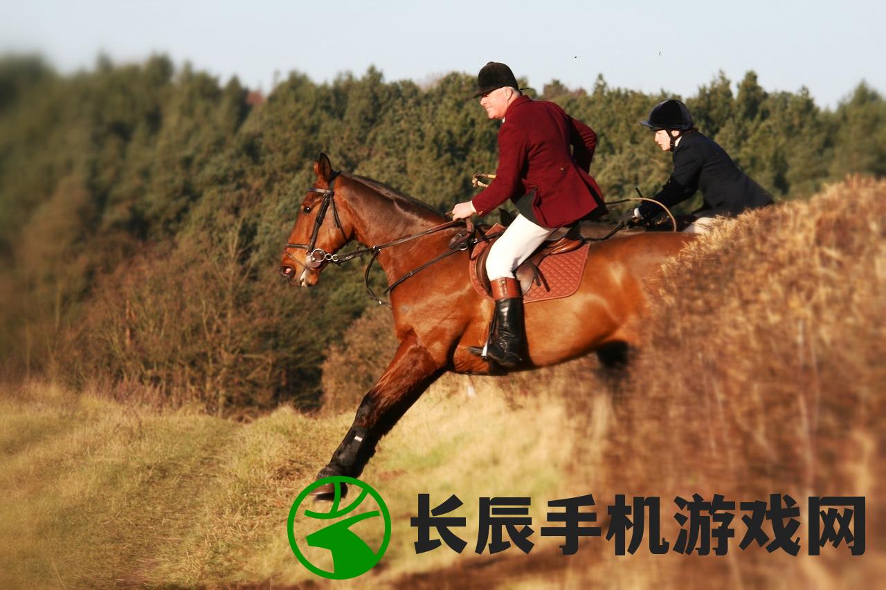 (野牛复仇记中文破解版)野牛复仇记2破解版深度解析与探索