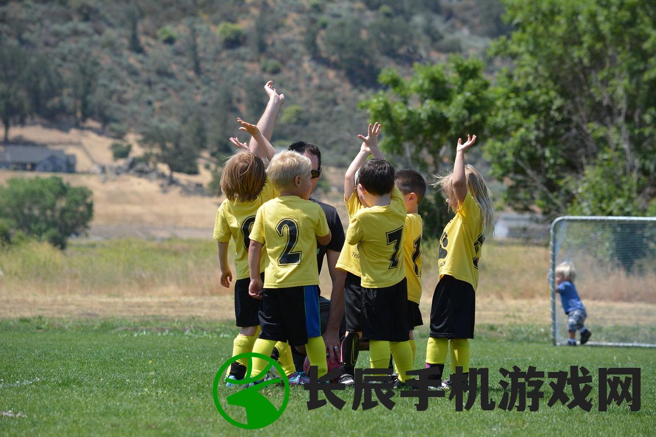 (剑刃风华手游)剑刃风华Logo，解析其深层含义与影响