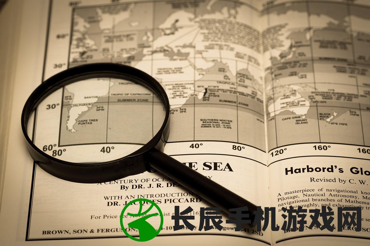 (航海日志2023)航海日志2004，探索之旅的详细记录与分析