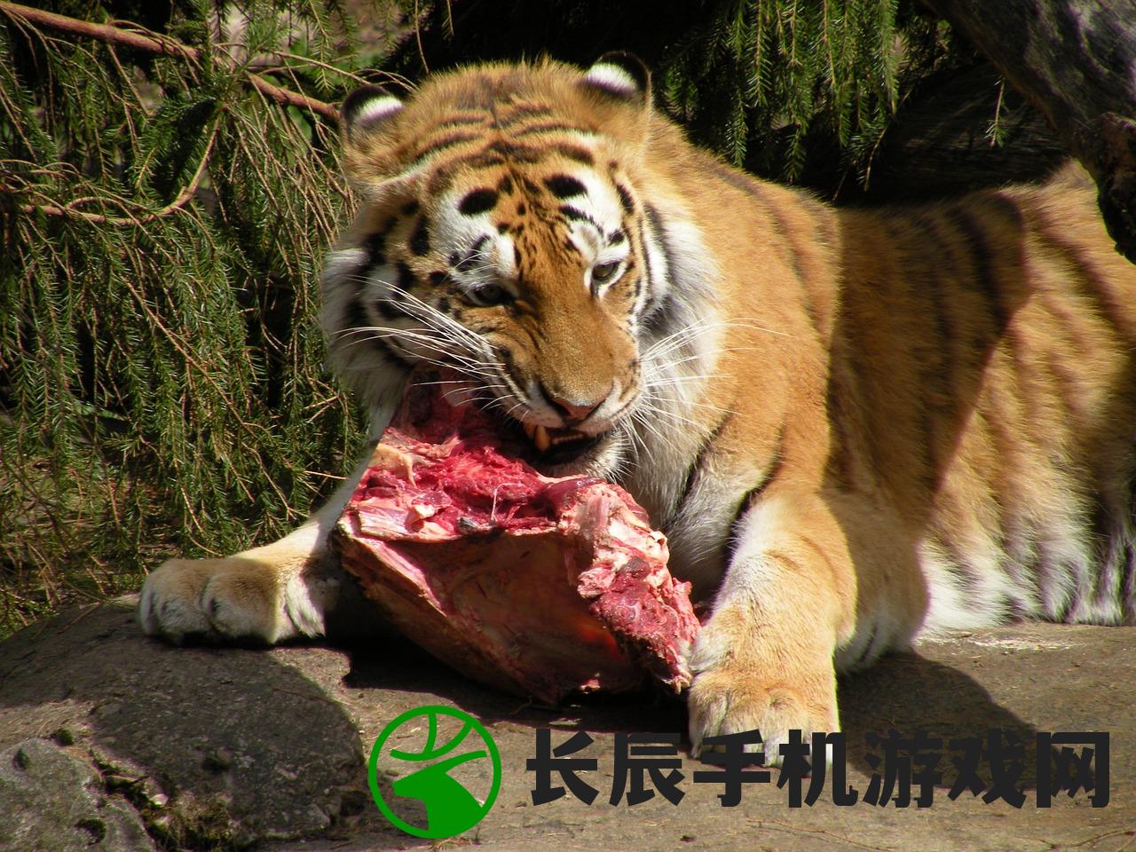 (神皇佛魔鲨吊打一切)神皇佛魔鲨，跨界神话的深度解析