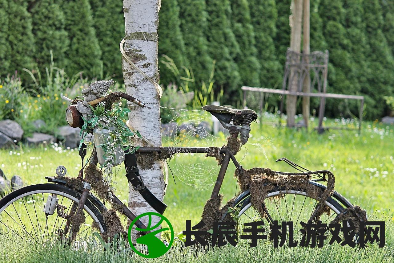 (神域远征手游下载地址)神域远征安卓版命名揭秘及游戏特色解析