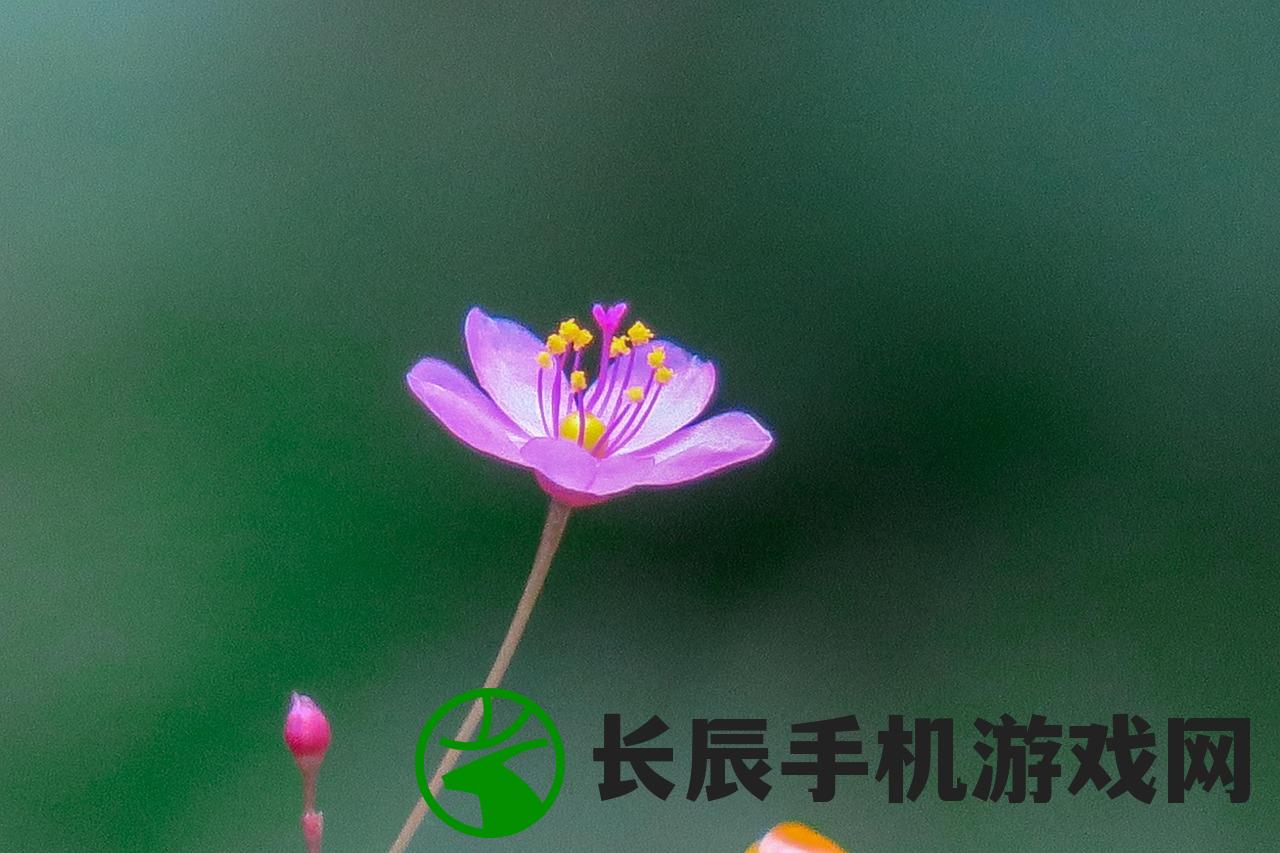 (虫鸣声音怎么形容Abb)虫鸣之声，如何形容其独特魅力
