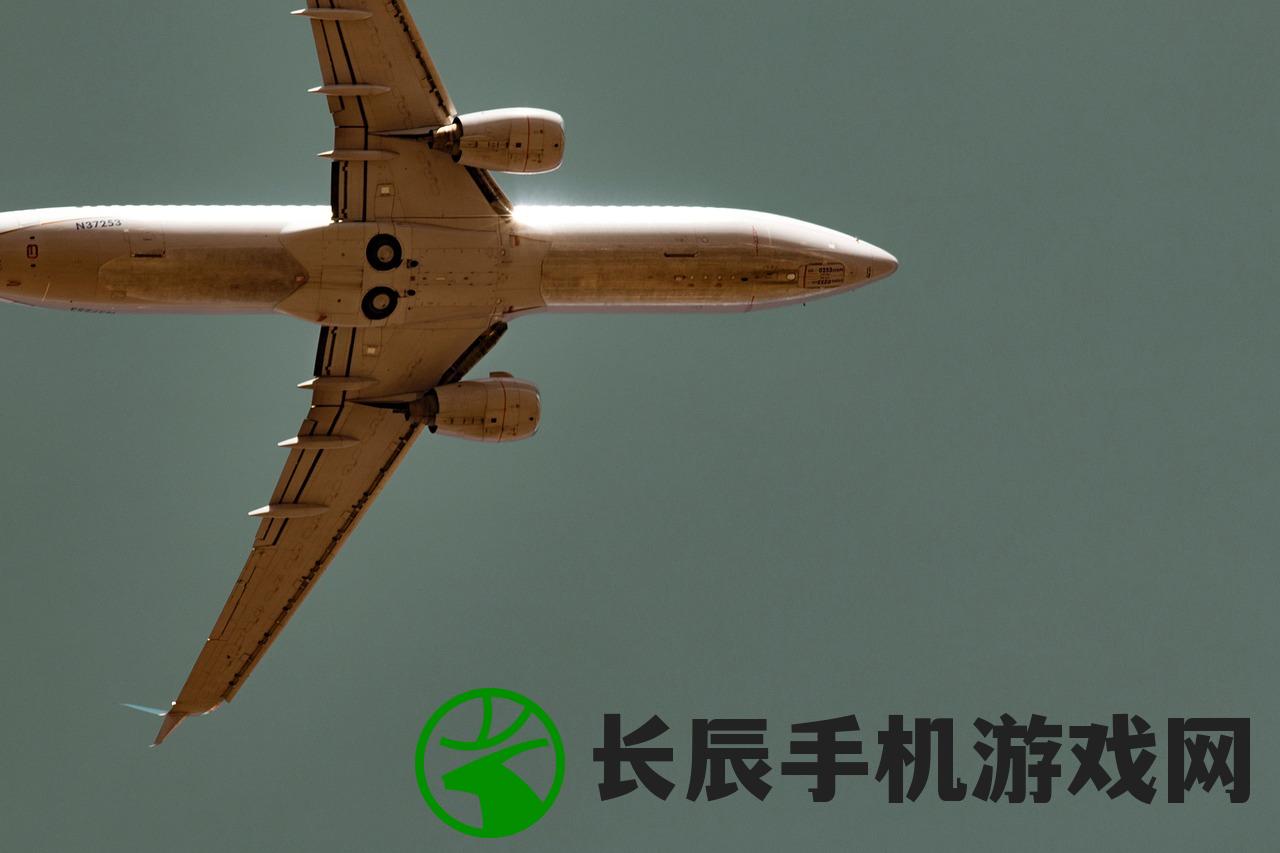 (起义时刻没有动画)起义时刻，压缩文件缺失的困扰与解决策略