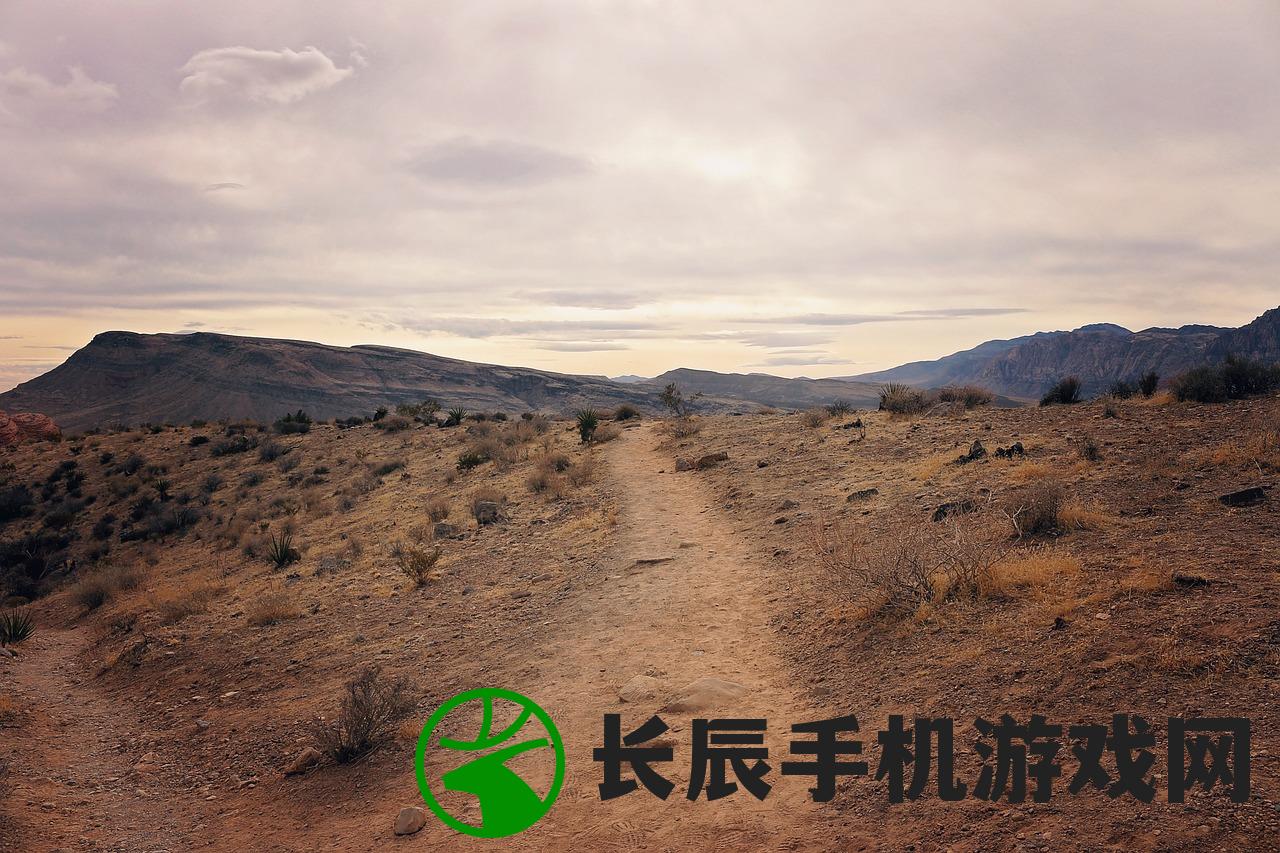 (崩坏星穹铁道云游戏网页版)崩坏星穹铁道云游戏的探索与挑战