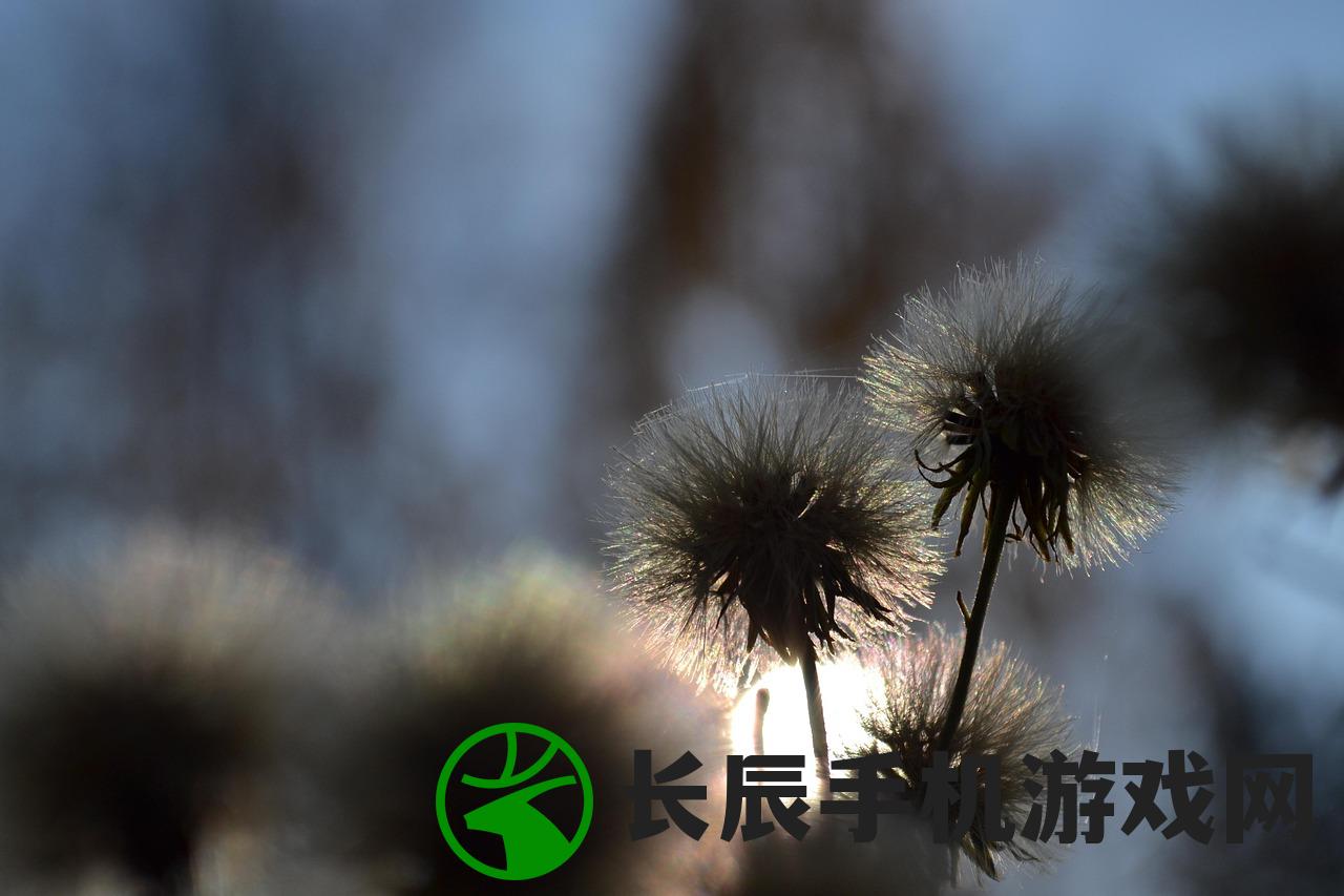 (碧蓝航线动漫第二季)碧蓝航线动漫，深度解析与探讨