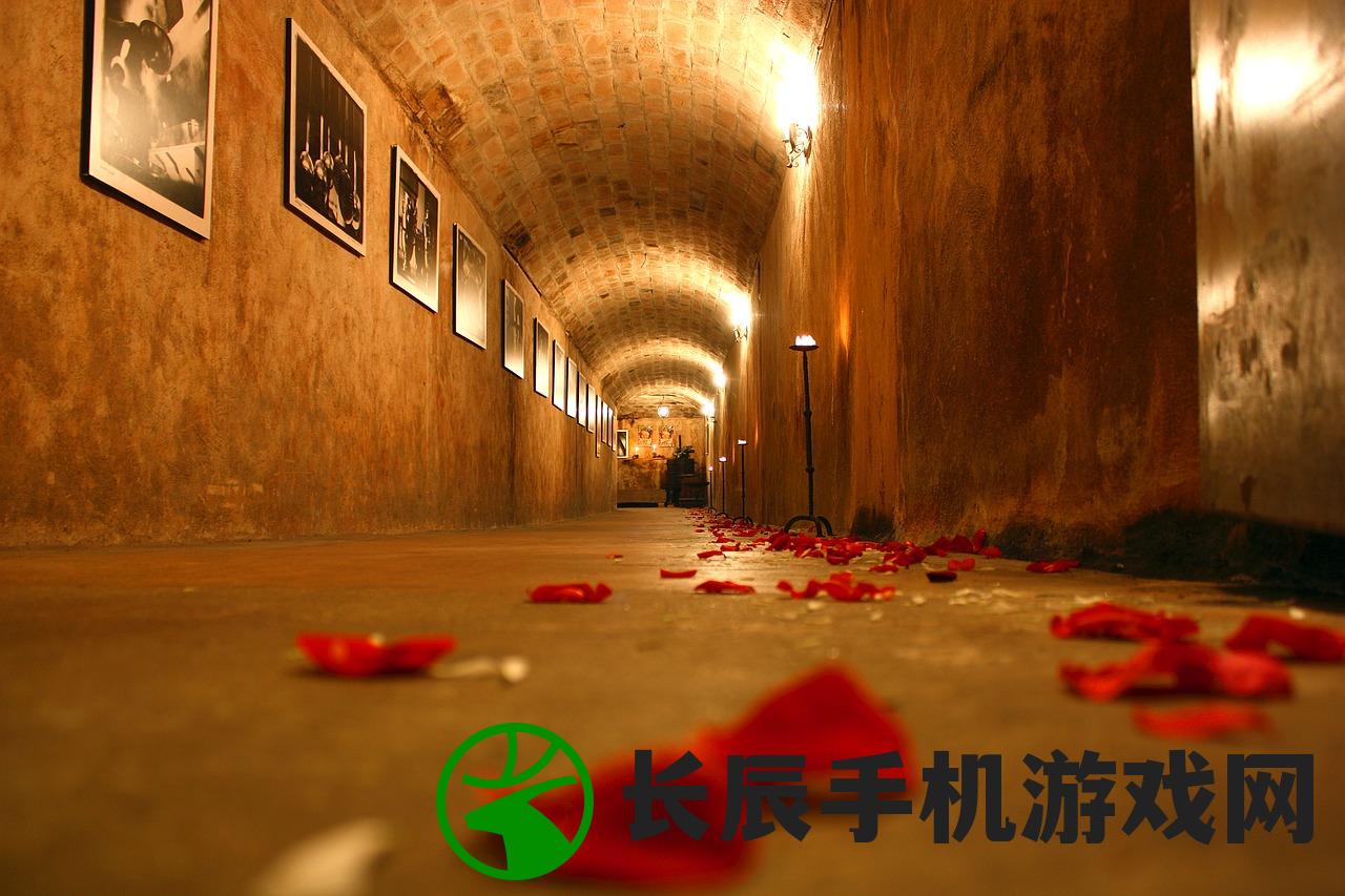 (放置修仙录门派攻略)放置修仙录攻略大全及常见问题解答