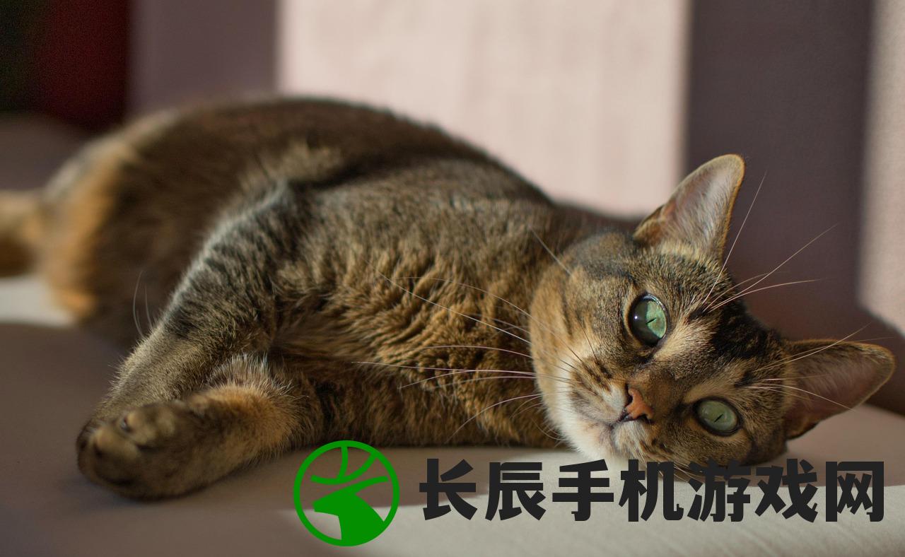 (8个征兆说明你破膜了)男生知道你是处女后态度变化，探究背后的心理与社会因素