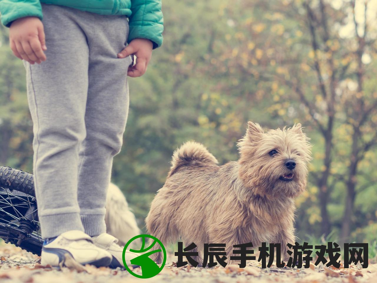 (凛冬部落哪个英雄厉害一点)凛冬部落英雄战力解析，哪个英雄最厉害？