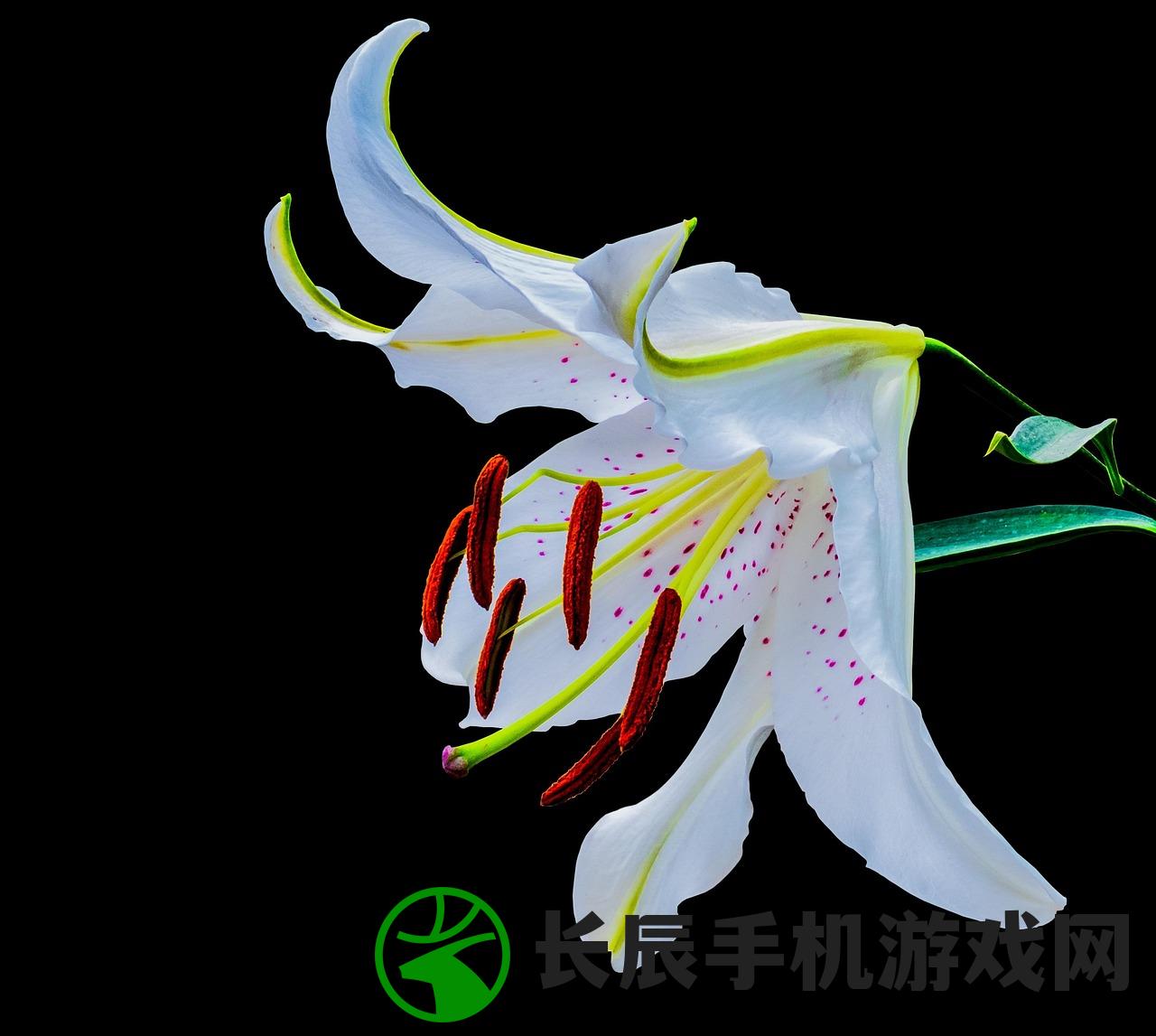 (希望之村2来生苹果版)希望之村2，来生探索与启示