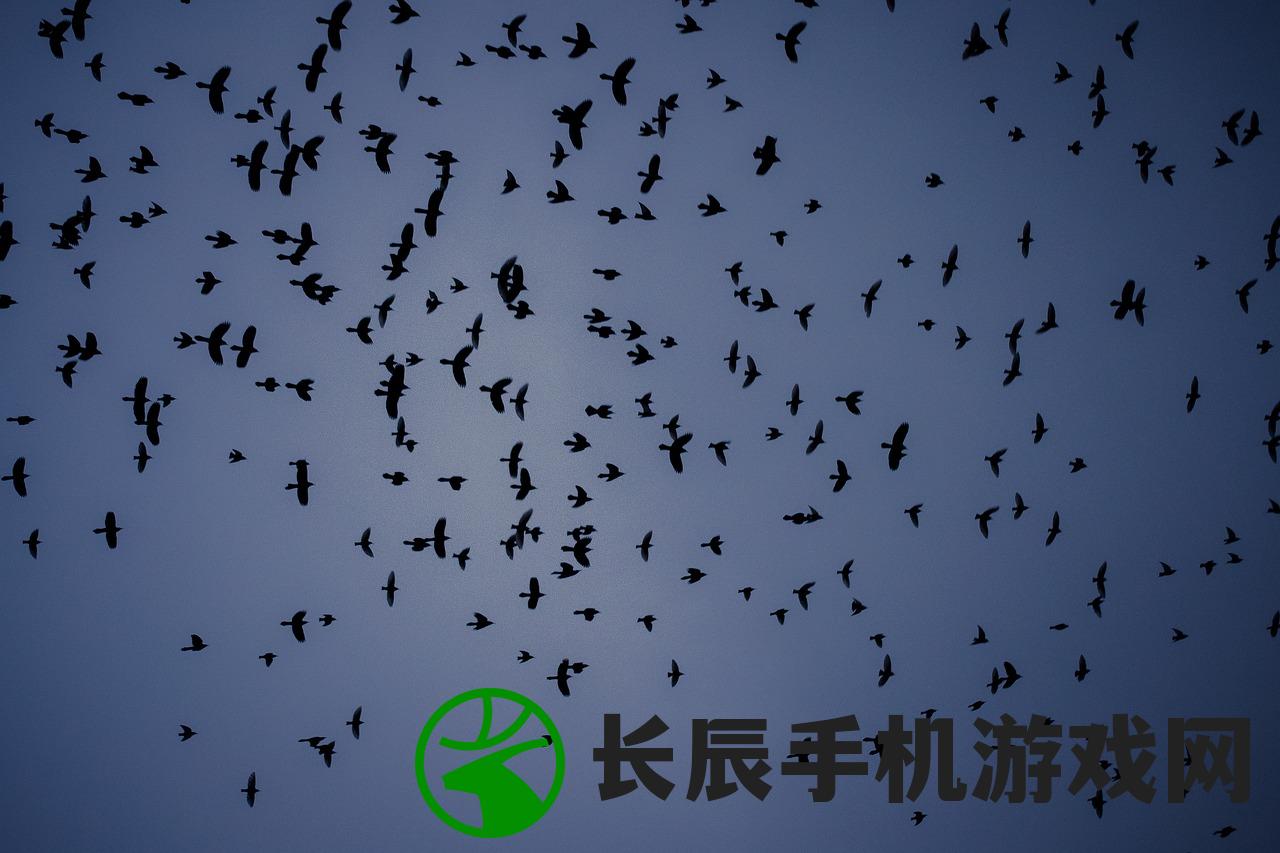 (搬家模拟器攻略大全第三关)搬家模拟器攻略大全，从新手到高手的全面指南