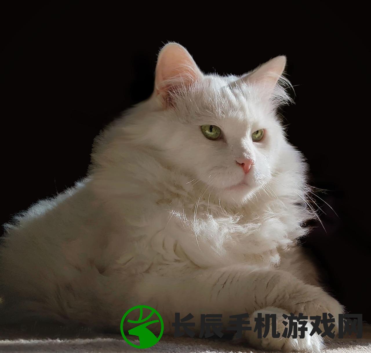 (阿斯蒂娅的寓意)阿斯蒂娅，神秘的名字背后的故事