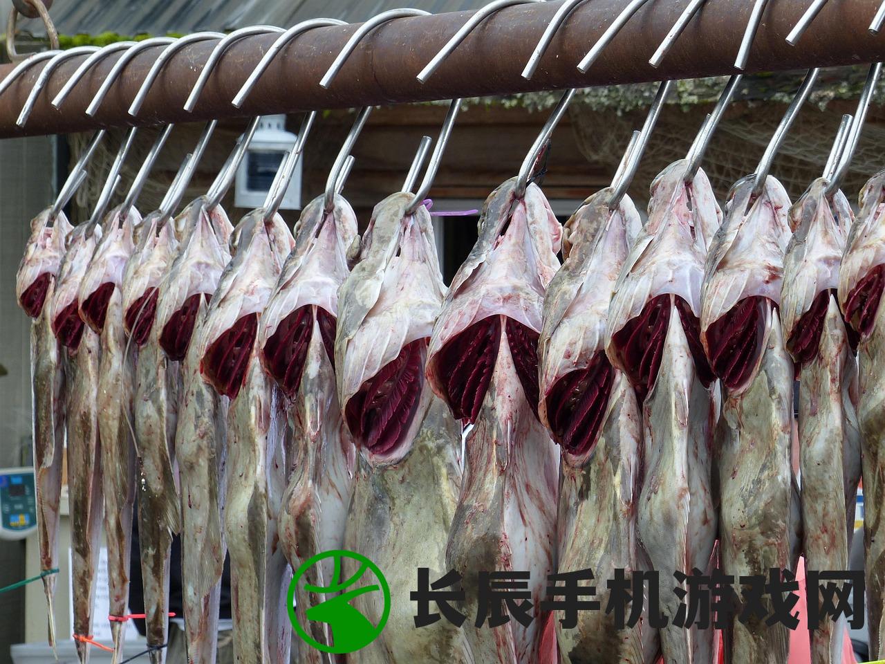 (仙凡纪下载)仙纪全集，奇幻世界的深度探索与解析