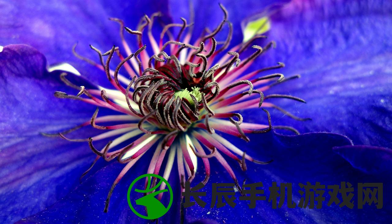 (热血群侠录传奇下载)热血群侠录传奇，一部热血激昂的江湖史诗