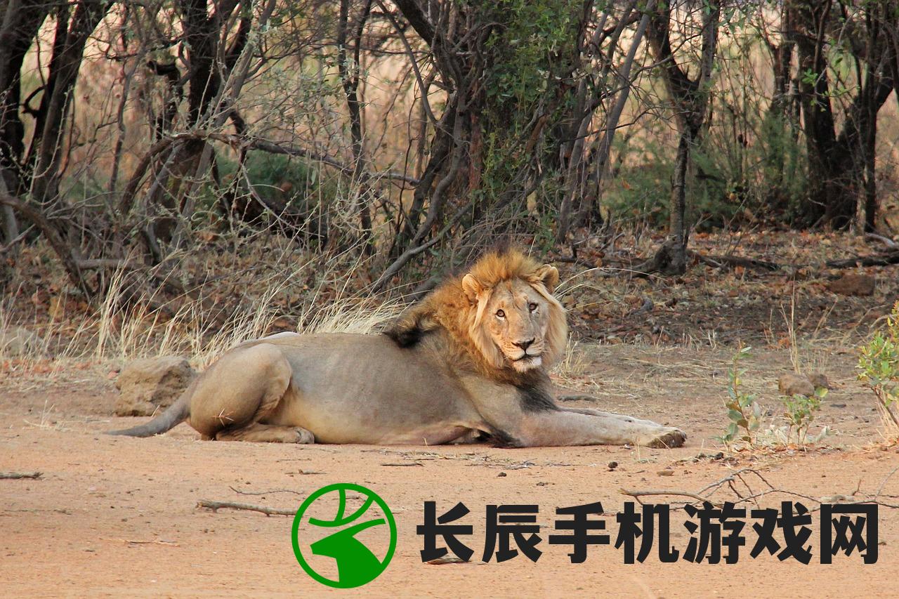 (联盟崛起魔兽卡牌手游怎么玩)联盟崛起，魔兽卡牌手游的崭新篇章