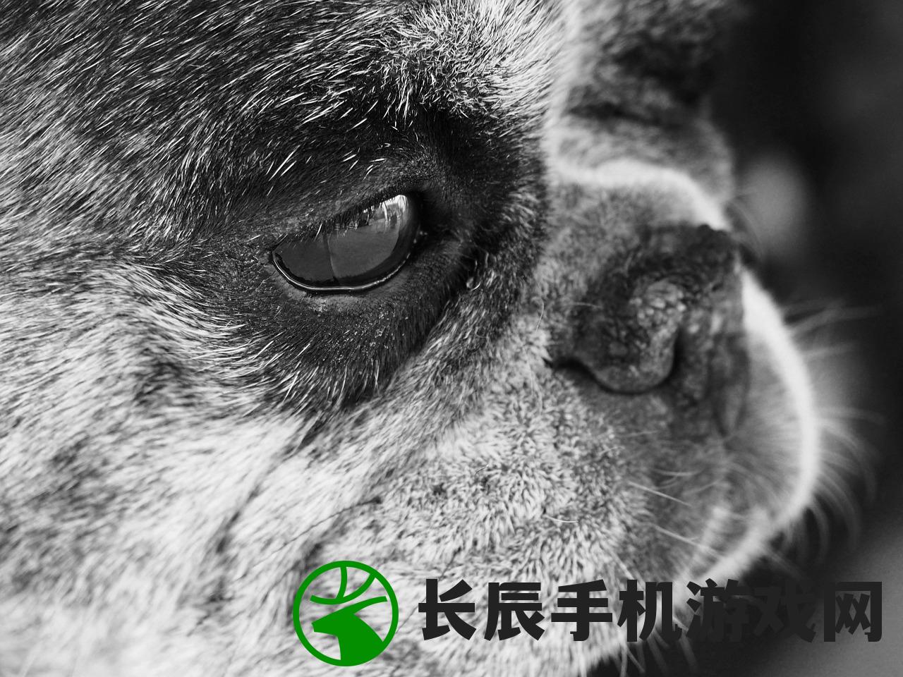 (奶油凋零风暴生存)奶油光之巨人生存，探索生存与挑战的新篇章