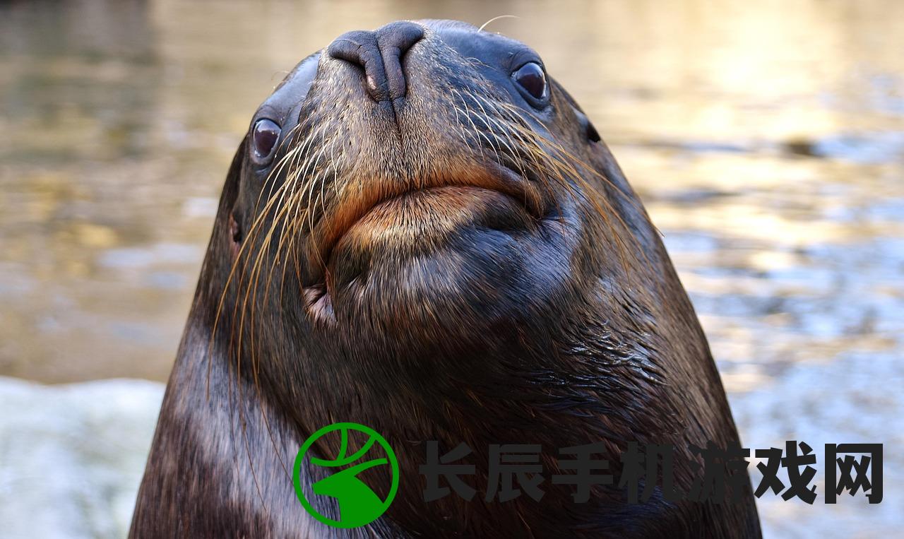 (战国百家争鸣的背景是什么)战国百家争鸣的背景及其深远影响