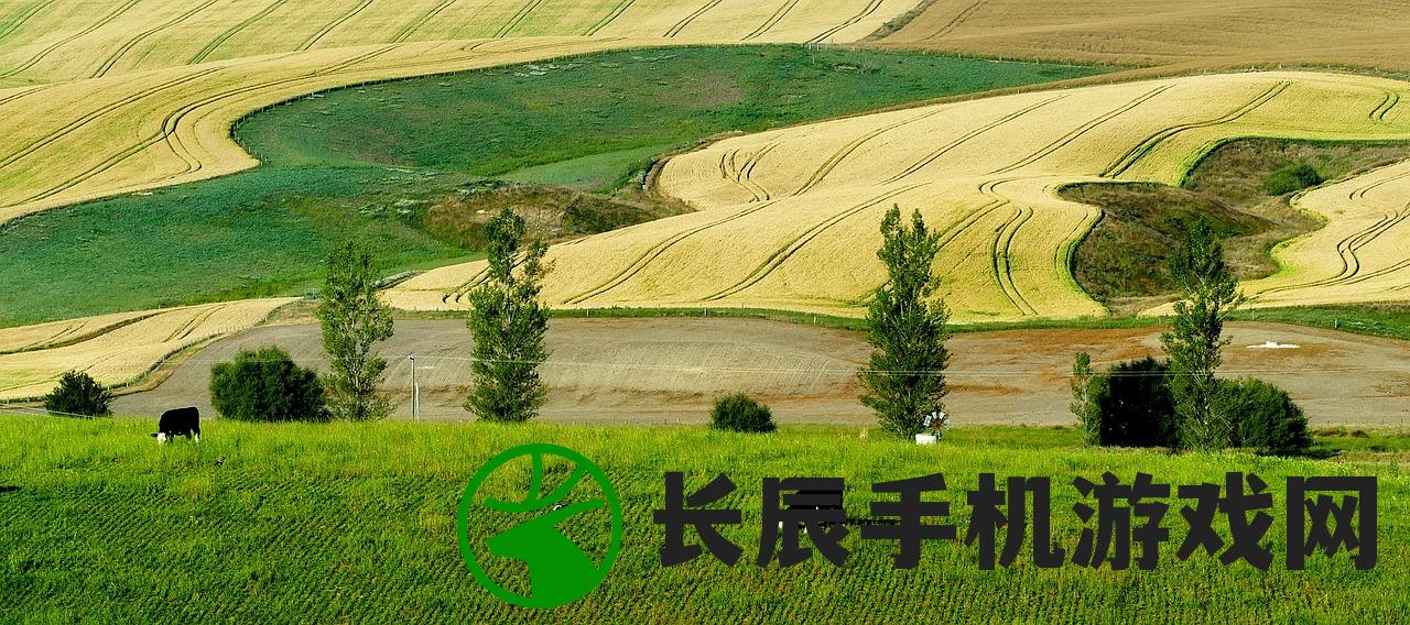 (银翼计划百度百科)银翼计划2024最新消息，未来科技与创新的展望