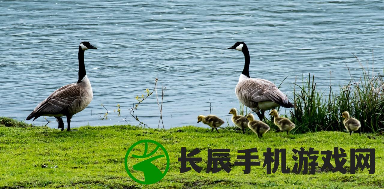 (霸王龙怀孕生宝宝)霸王龙即将诞生，关于霸王龙繁殖的奥秘