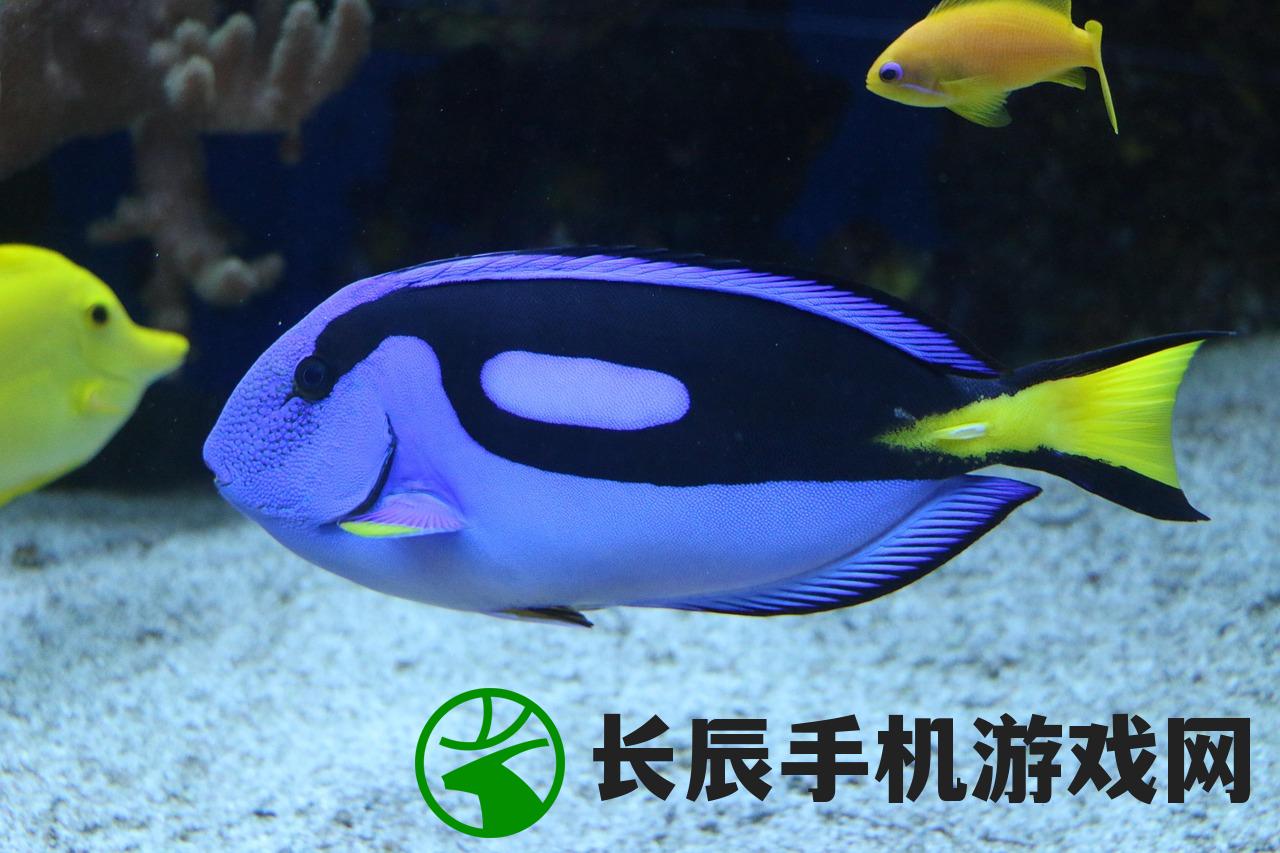 (搬家模拟器百分网怎么用)搬家模拟器百分网，游戏解析与常见问答