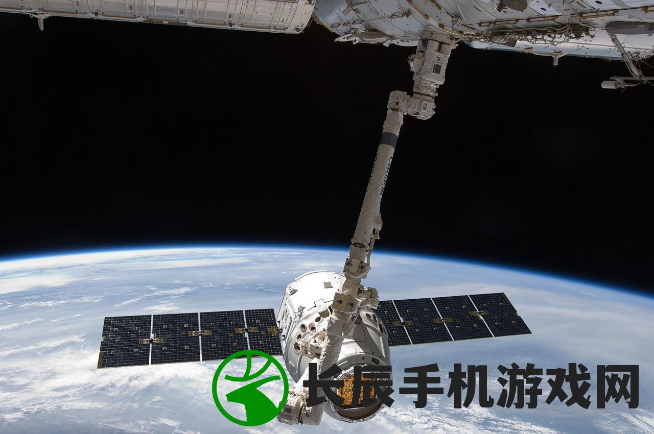 (唱舞全明星超高资质宠物)唱舞全明星精英宠物时间表，揭秘活动日程与精彩瞬间